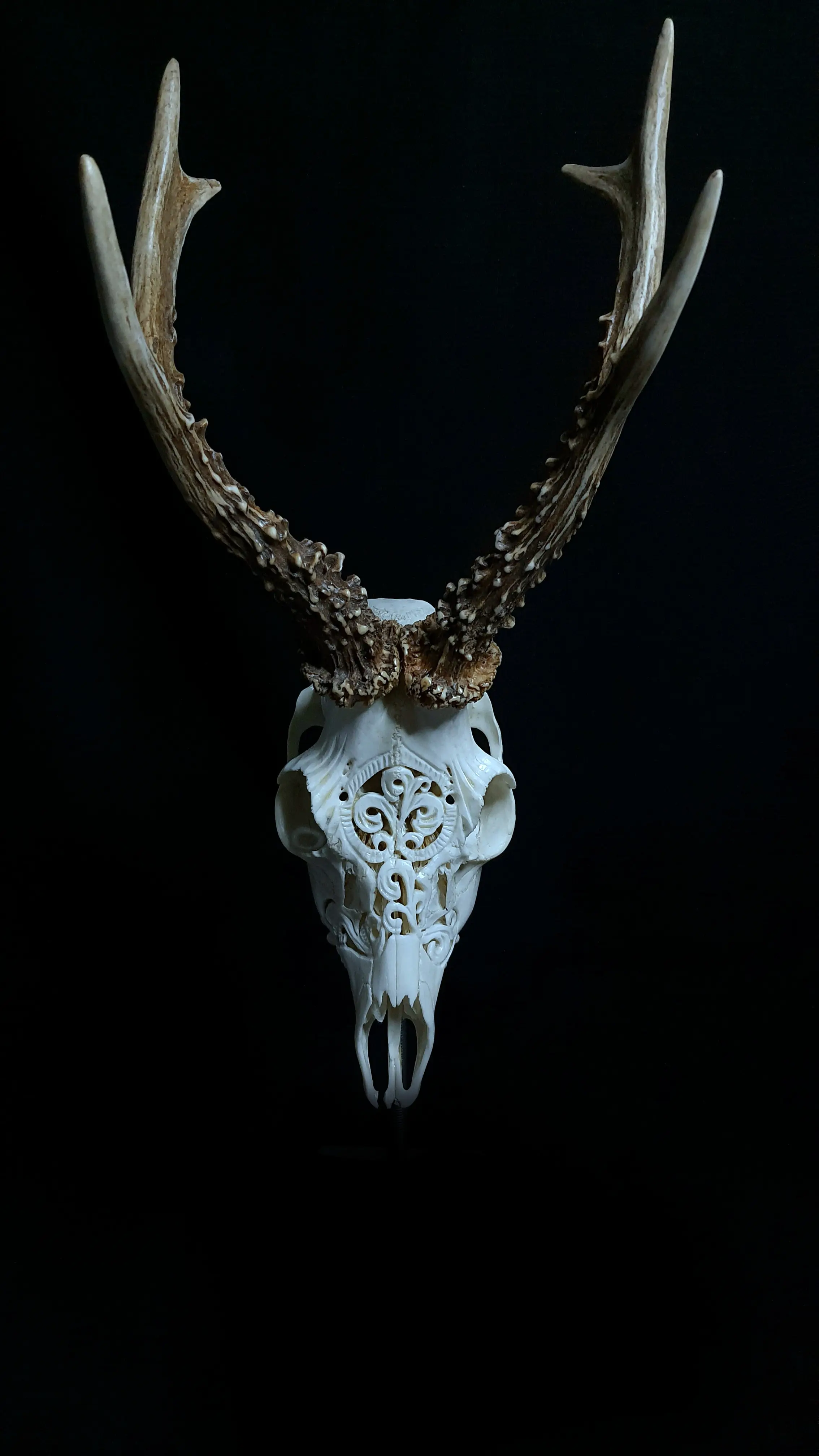 Trofeu de caprior sculptat manual